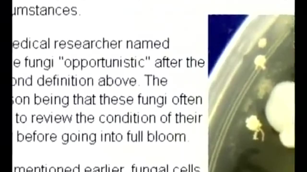 Cancer The Forbidden Cures