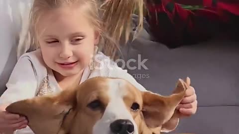 5 Essential Tips for Happy Pets! 🐾Part 1