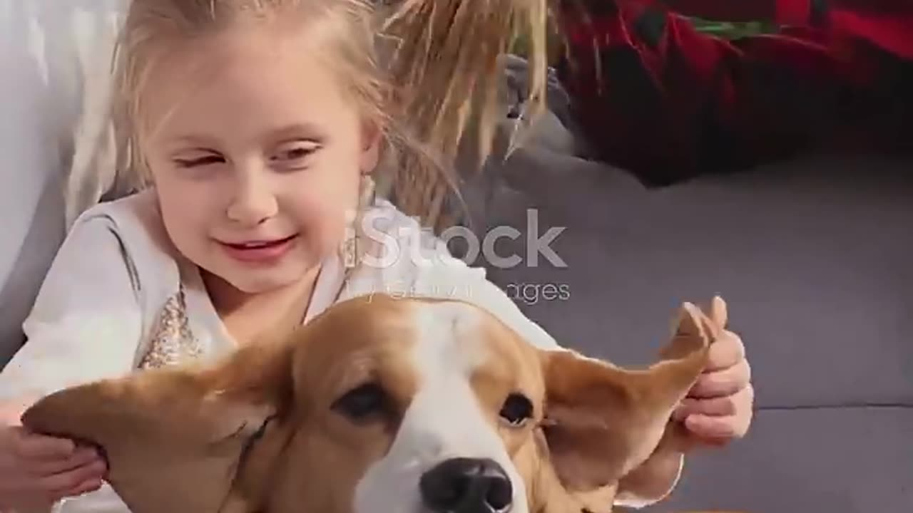 5 Essential Tips for Happy Pets! 🐾Part 1