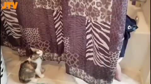 The fabulous couple - CHILDREN AND CATS