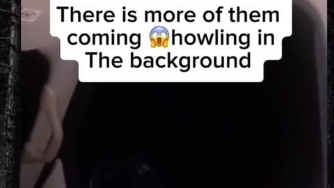 😱👻 You Won't Believe What They're Trying to Tell You... Thoughts on This Footage | TheHauntingHour