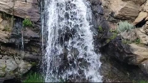 Daily Horoscope | Aquarius 🌟