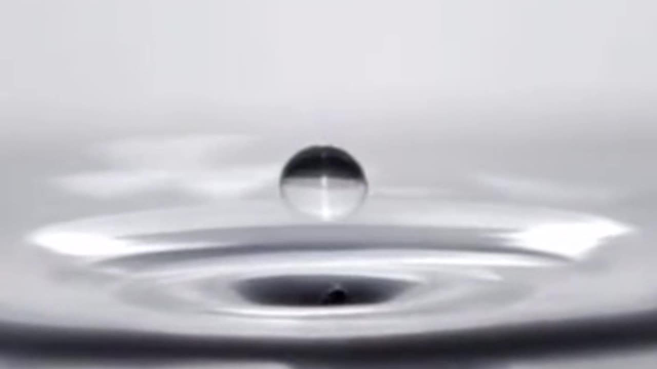 Dan Scavino Eagle Post