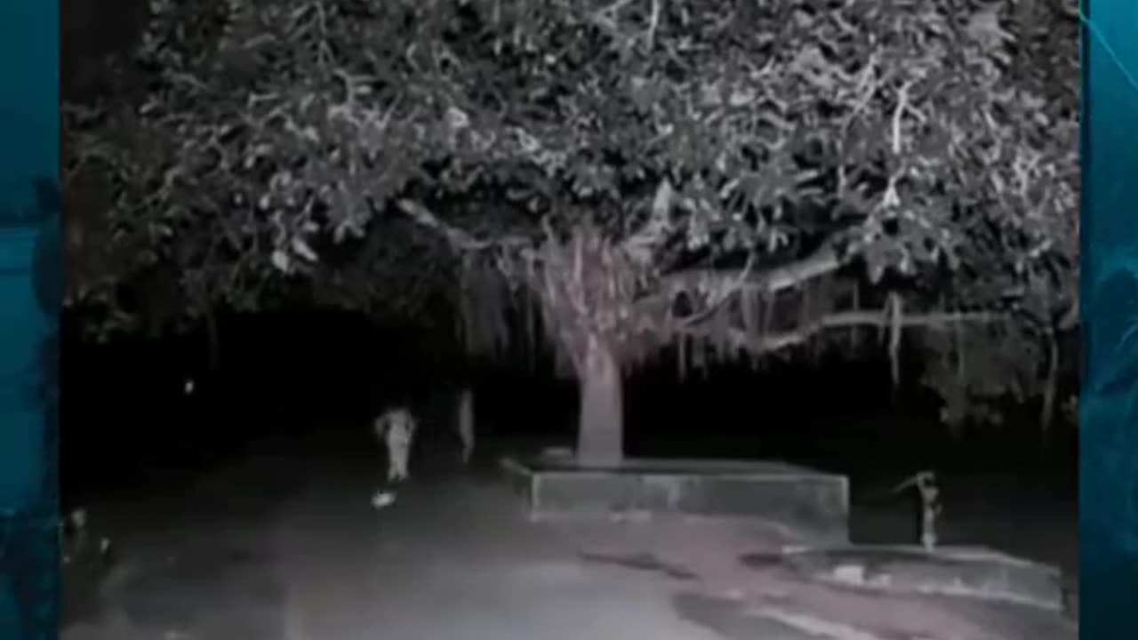 😱👻 You Won't Believe What They Caught on Camera! Ghostly Toksa | TheHauntingHour