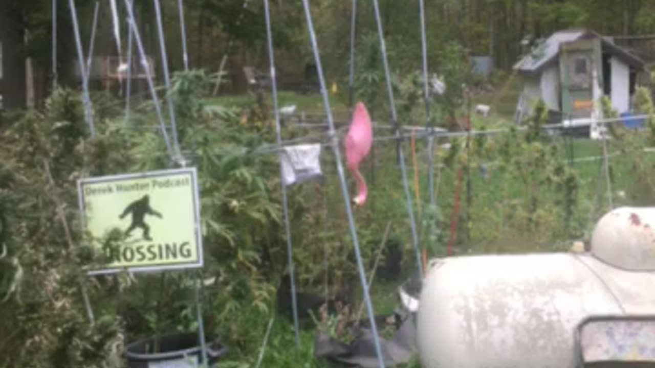 WMAL 105.9 government programs vs private companies if you like you plan