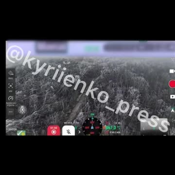 A frozen forest, entangled in a web of fiber optics. The winter landscapes of the war