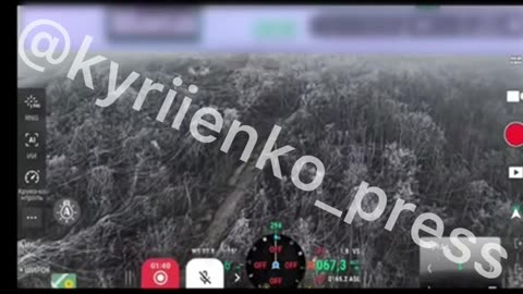 A frozen forest, entangled in a web of fiber optics. The winter landscapes of the war