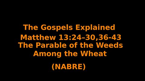 The Gospels Explained - Matthew 13:24–30,36–43 - The Parable of the Weeds Among the Wheat - (NABRE)