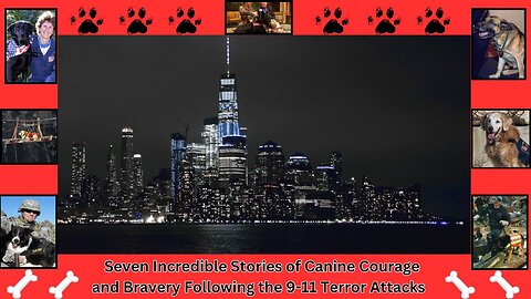 Seven Incredible Stories of Canine Courage and Bravery Following the 9-11 Terror Attacks