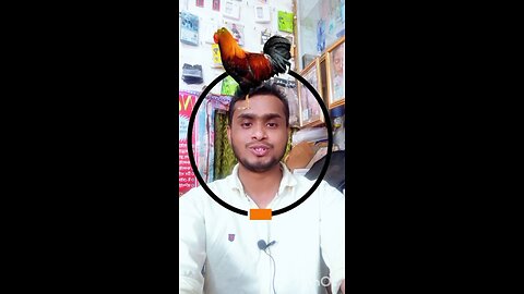 মুরগিটি সোজা করে দেখান #shorts #funny #puzzle