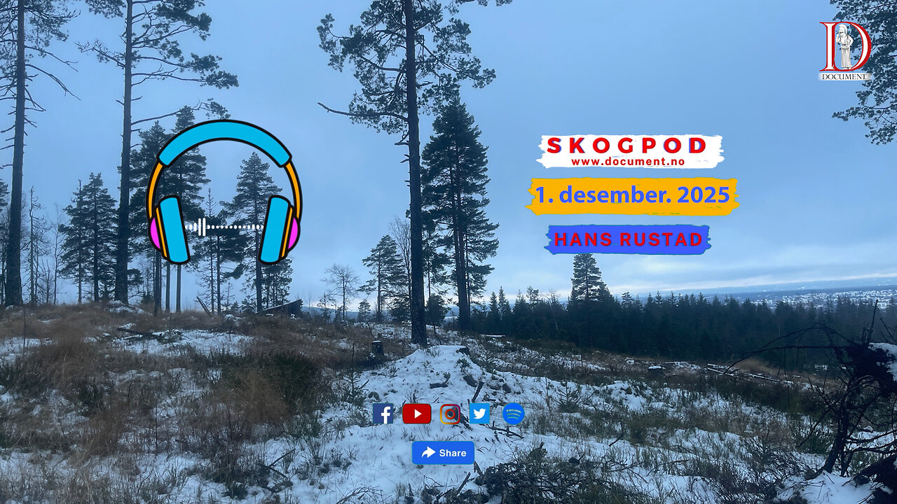 Skogpod 1. desember 2025