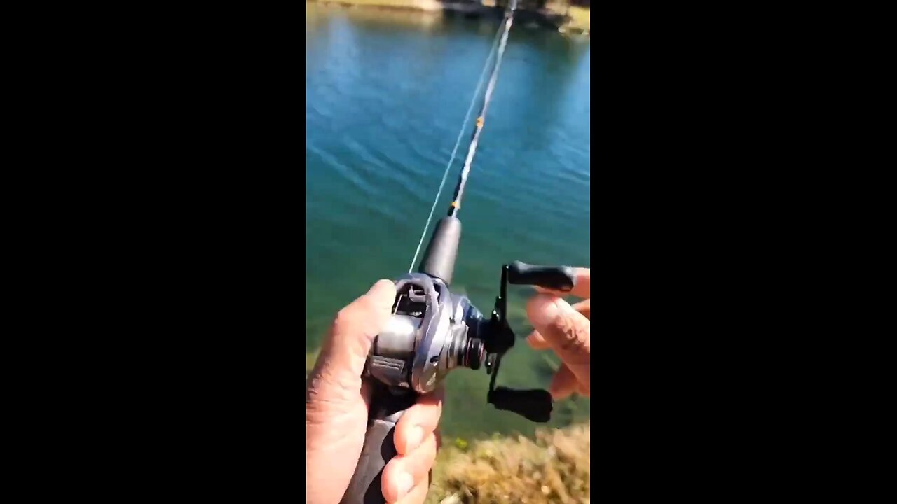 Mastering the Inline Spinner: Catch More Fish with Pro Tips