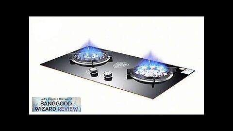 5.2KW Gas Stove Double Stove Household Built-in Dual-use Liquefied Gas Two Burner Review