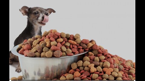 Do you know what's in your dog's food? Hidden dangers may exist!