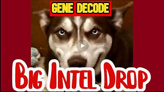 GENE DECODE HUGE INTEL DROP!