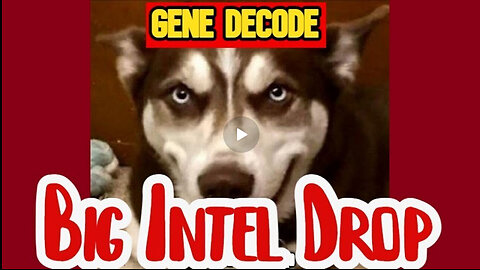 GENE DECODE HUGE INTEL DROP!