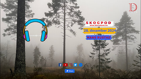 Skogpod 28. desember 2024