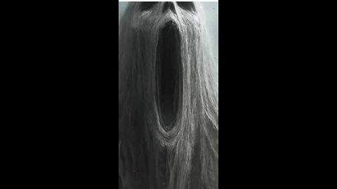 Haltet die Klappe und lasst Trump seinen Job machen.