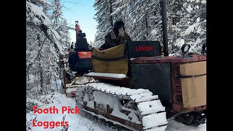 Sunday Wood Haul As Toothpick Loggers Dec 14 2025