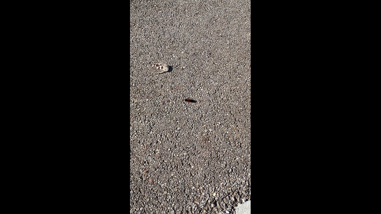 Stranger Danger - The Rural Outdoors