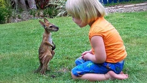 Animals are Perfect Companions for Children! ❤️