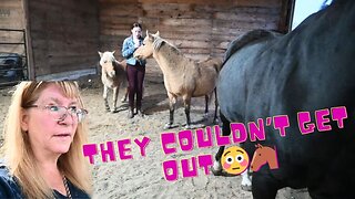 WHEN Visitors Get TRAPPED In The HORSE Barn!