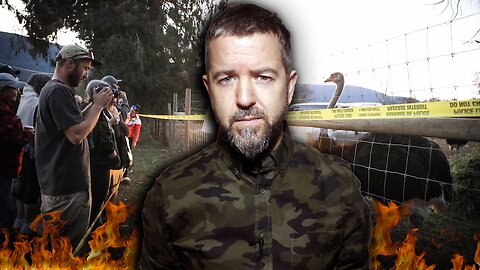 Ostrich Farm CULL GETS GREEN LIGHT From Supreme Court!! What You NEED To Know!!!