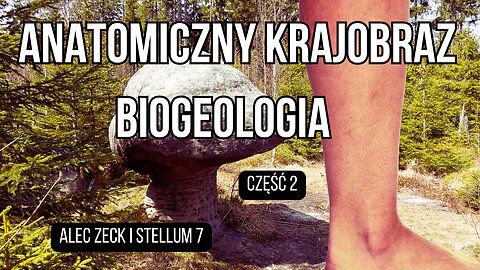 Anatomiczny krajobraz, Biogeologia, Tytani, kamienne serca – Alec Zeck i Mike Wilkenson – cz.2