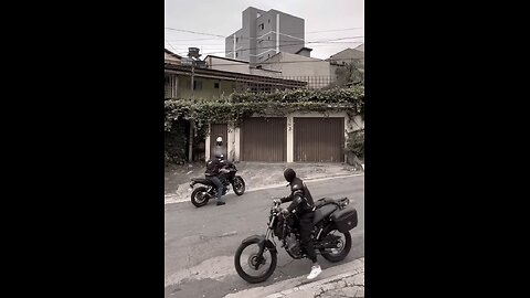 Thieves got captured