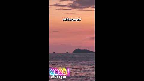 গত বছর কেমন ছিল