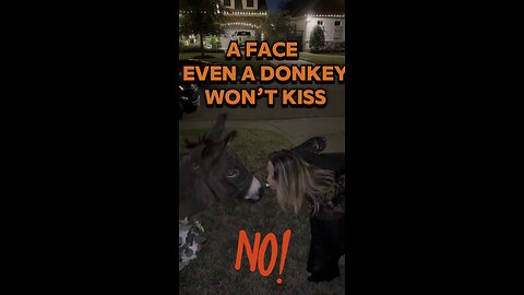 She Tried to Kiss the Donkey… This Happened 😬