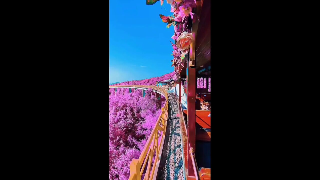 wow
