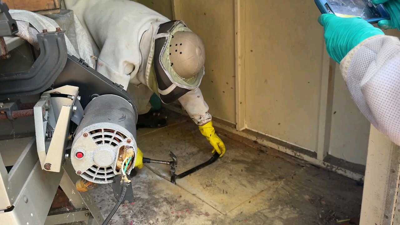 Shed floor, 12-11-25