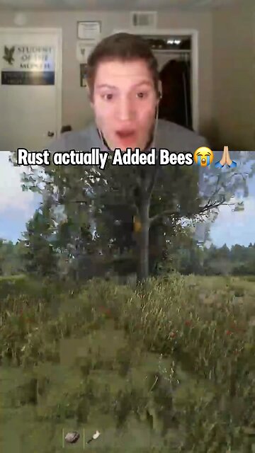 RUST ADDED BEES
