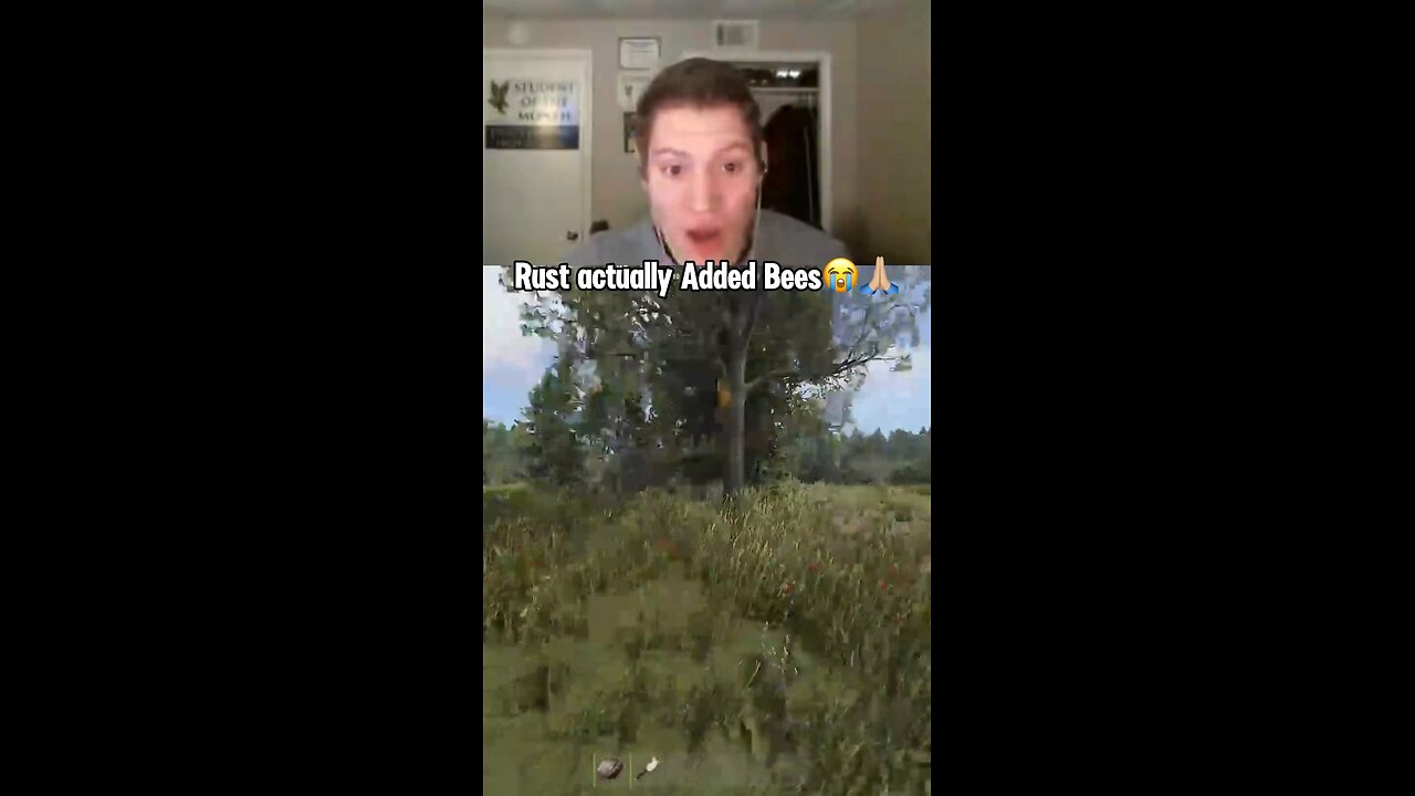 RUST ADDED BEES
