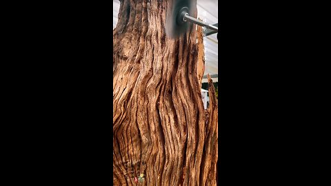“Wood Wonders from Sri Lanka 🇱🇰