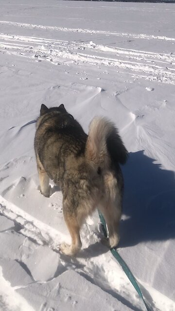 Friday February 21, I will cleanse away their sins