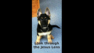 Charles 💠 354 ~ Look through the Jesus Lens