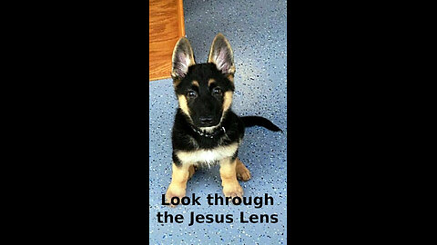 Charles 💠 354 ~ Look through the Jesus Lens