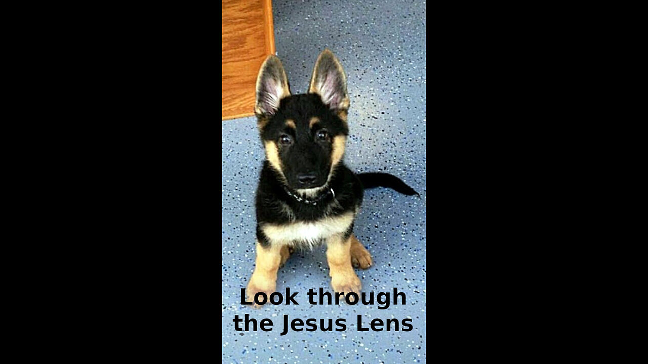 Charles 💠 354 ~ Look through the Jesus Lens