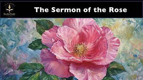 The Sermon Hidden in a Rose