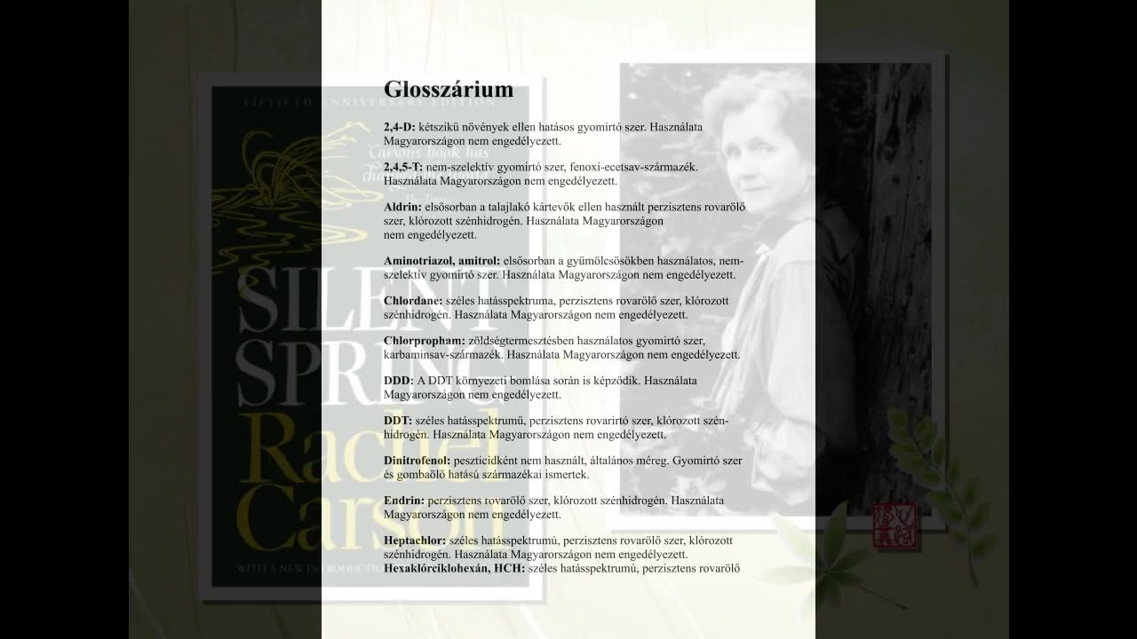 Néma tavasz - Glosszárium