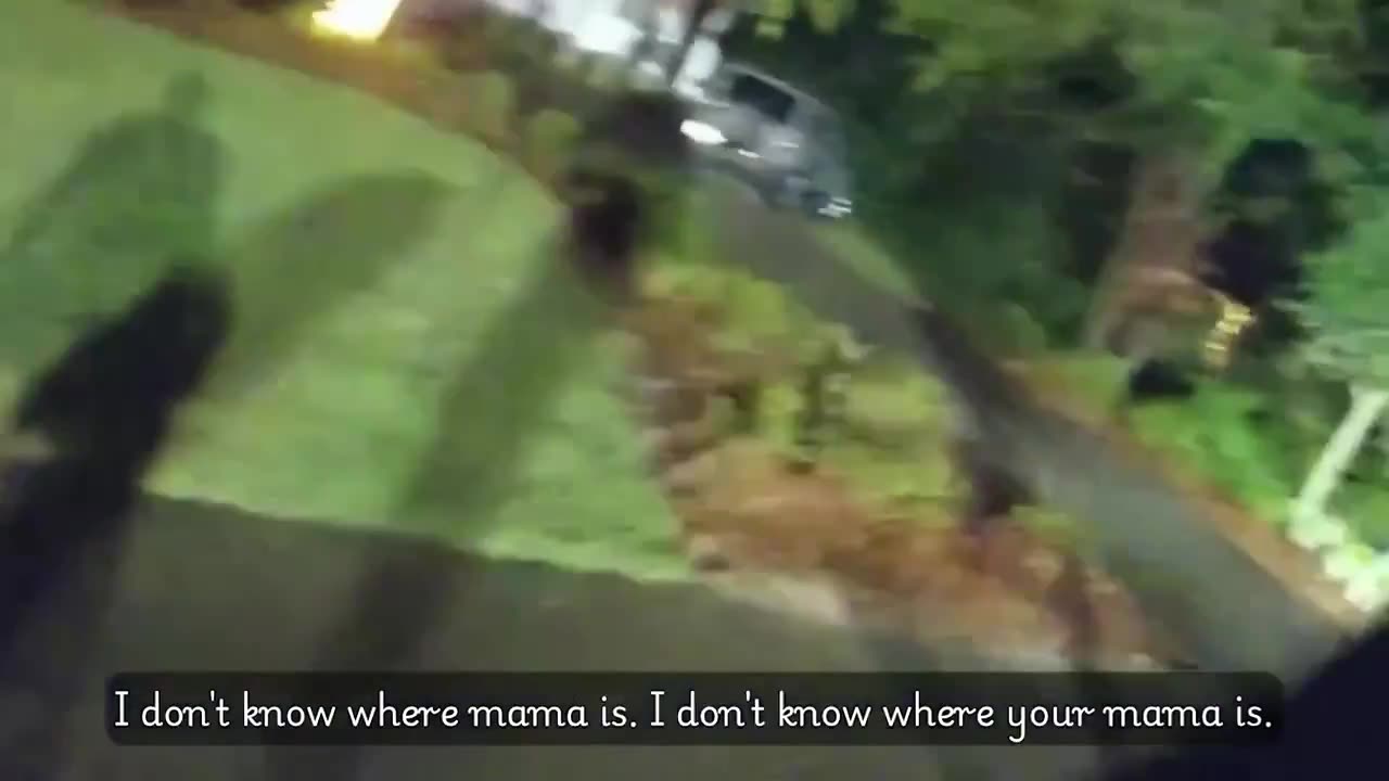 Dog leads police to injured grandmother