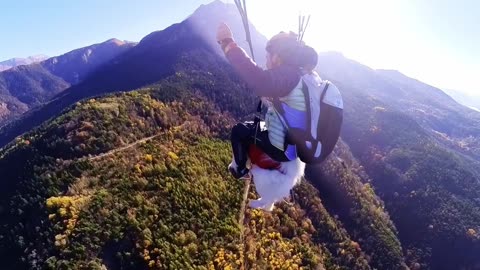 Man And Samoyed Paraglide Over French Alps