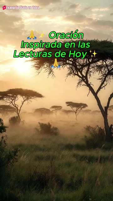 🙏✨ Oración Inspirada en las Lecturas de Hoy ✨🙏
