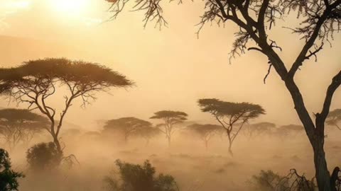 🙏✨ Oración Inspirada en las Lecturas de Hoy ✨🙏