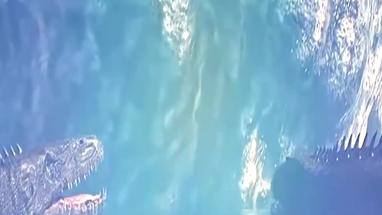 Godzilla Too Late to Save Man from Mosasaurus