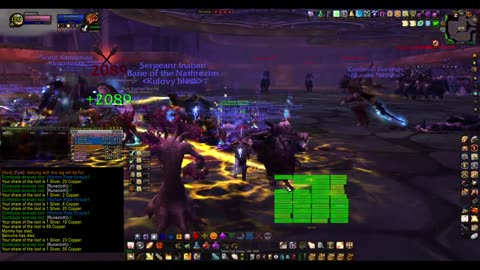 Turtle Wow - MM weekly Naxx - 15 January - Paladin