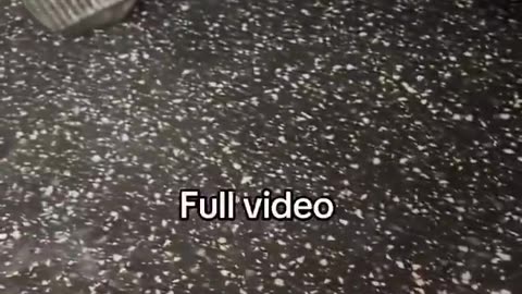 Morning Train to "Wakanda Destination"