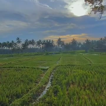 Beautiful Nature village - beautiful place for couple